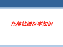 托槽粘结医学知识培训课件