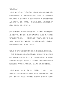 安全是什么