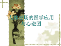 人体磁场的医学应用与心磁图解析课件