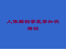 人体解剖学医学知识培训培训课件