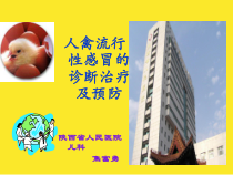 人禽流行性感冒的诊断治疗及预防课件