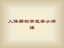 人体解剖学医学小讲课培训课件