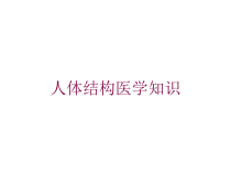 人体结构医学知识培训课件
