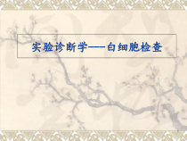 人体白细胞检查医学课件