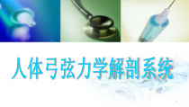人体弓弦力学系统医学课件