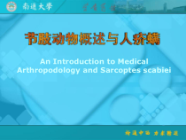 人体寄生虫学医学节肢动物概述与人疥螨课件