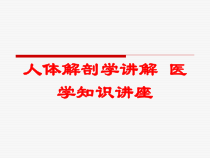 人体解剖学讲解-医学知识讲座培训课件