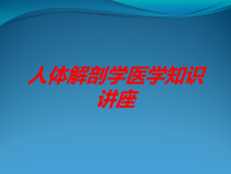 人体解剖学医学知识讲座培训课件