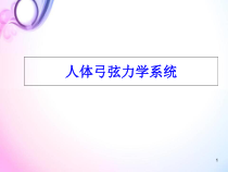人体弓弦力学系统医学课件_2