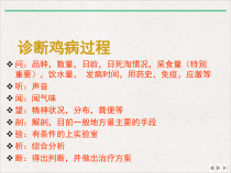 肉鸡常见疾病及治疗新版课件