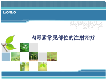 肉毒素注射治疗简介课件