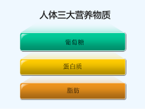 乳酸分析在临床中的应用-课件