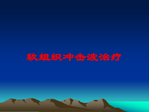 软组织冲击波治疗培训课件