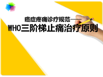 三阶梯止痛治疗原则课件