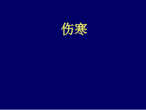 伤寒临床诊疗课件