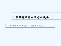 上尿路结石腔内治疗选择大纲课件