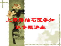 上尿路结石医学知识专题讲座培训课件