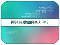神经胶质瘤的基因治疗-课件