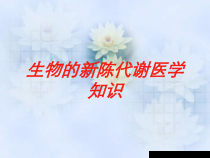 生物的新陈代谢医学知识培训课件