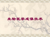 生物医学成像技术培训课件