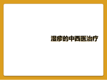 湿疹的中西医治疗课件