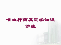 嗜血杆菌属医学知识讲座培训课件
