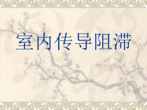 室内传导阻滞医学课件