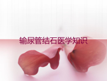输尿管结石医学知识培训课件