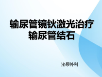 输尿管镜钬激光治疗输尿管结石课件