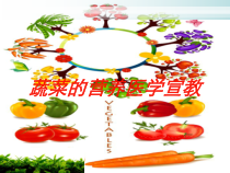 蔬菜的营养医学宣教培训课件