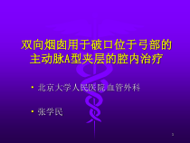 双向烟囱用于破口位于弓部的主动脉A型夹层的腔内治疗参考课件
