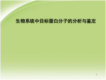 硕士研究生课-现代分子生物学-蛋白质研究进展医学课件