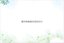 髓母细胞瘤的放射治疗课件_2