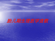 胎儿期生理医学宣教培训课件