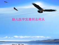 胎儿医学发展何去何从课件