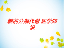 糖的分解代谢-医学知识培训课件
