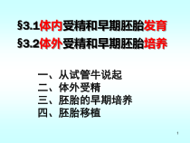 体外受精和早期胚胎培养医学课件