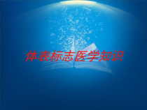 体表标志医学知识培训课件