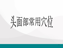 头面部常用美容穴医学课件