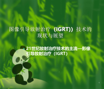 图像引导放射治疗技术的现状与展望教学课件