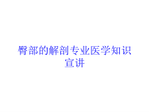 臀部的解剖专业医学知识宣讲培训课件