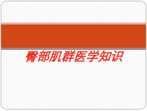 臀部肌群医学知识培训课件