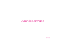 外教医学课件-Dyspne-larynge-喉呼吸困难
