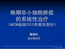 晚期NCSLC系统性治疗综述课件