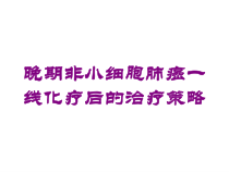 晚期非小细胞肺癌一线化疗后的治疗策略培训课件