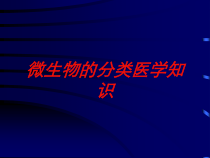 微生物的分类医学知识培训课件