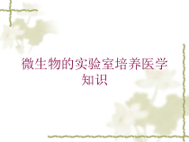 微生物的实验室培养医学知识培训课件