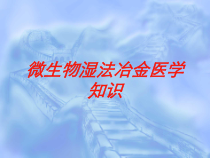 微生物湿法冶金医学知识培训课件