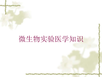微生物实验医学知识培训课件