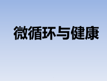 微循环检测仪医学课件